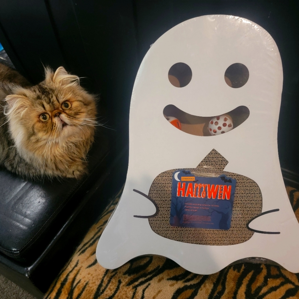 Halloween Ghost Cardbord Cat Scratcher w Balls Catnip New